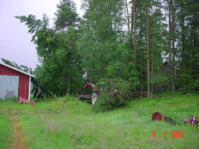 Unto-myskyn jälkiä 6.7.2002